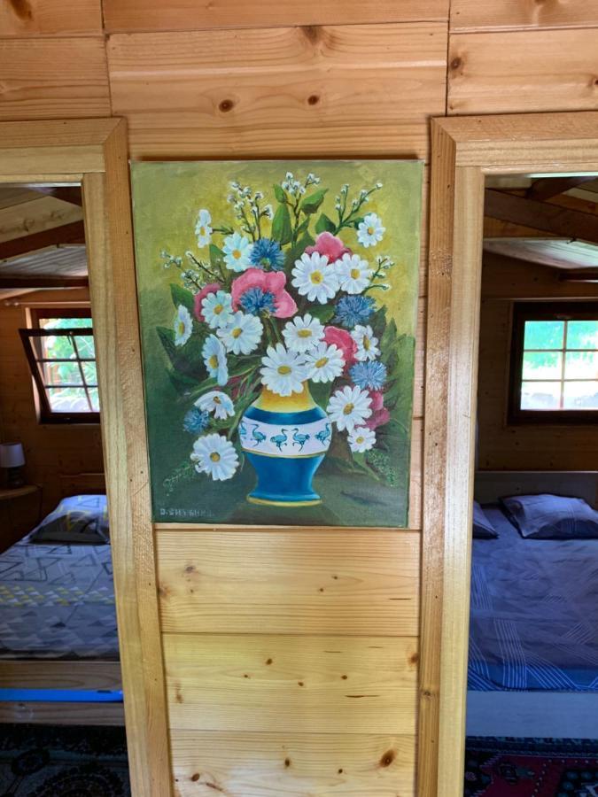 Chalet rustique, 3pièces, jusqu'à 6 personnes Urbès Extérieur photo